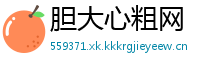 胆大心粗网